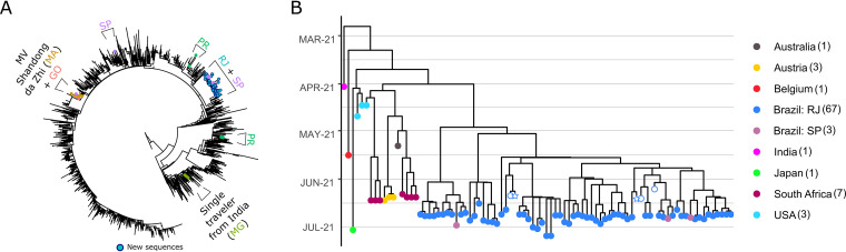 FIG 1