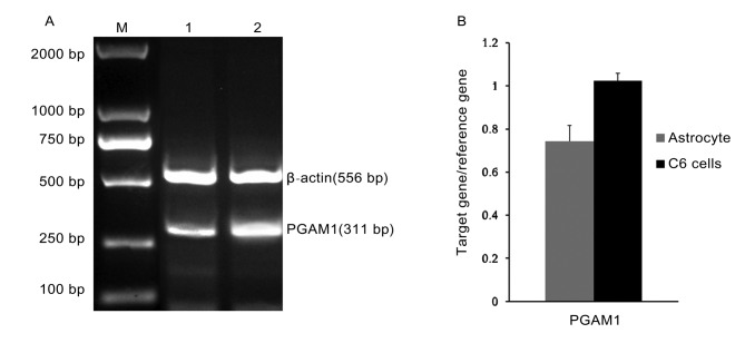 Figure 1.