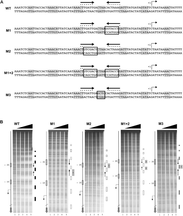 FIGURE 4