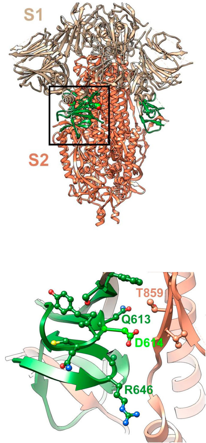 Fig. 5