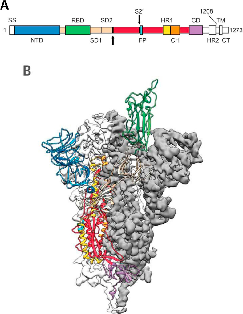 Fig. 1