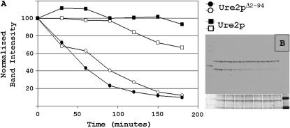 Figure 6.—