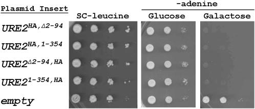 Figure 2.—