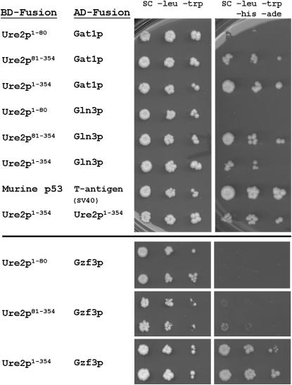 Figure 1.—