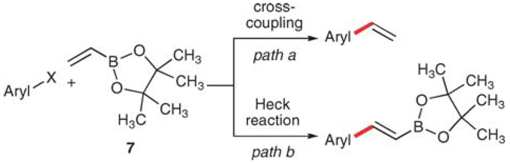 Scheme 5