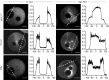 Figure 2—figure supplement 2.