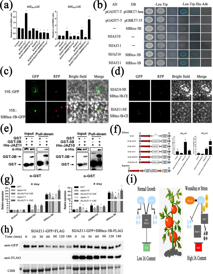 Fig 6