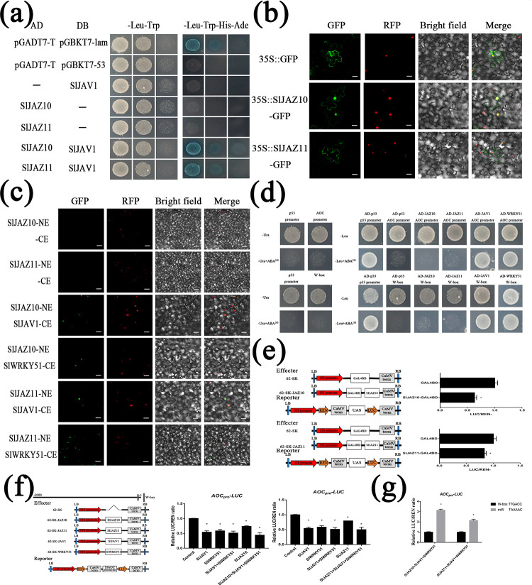 Fig 4