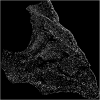 Fig 9