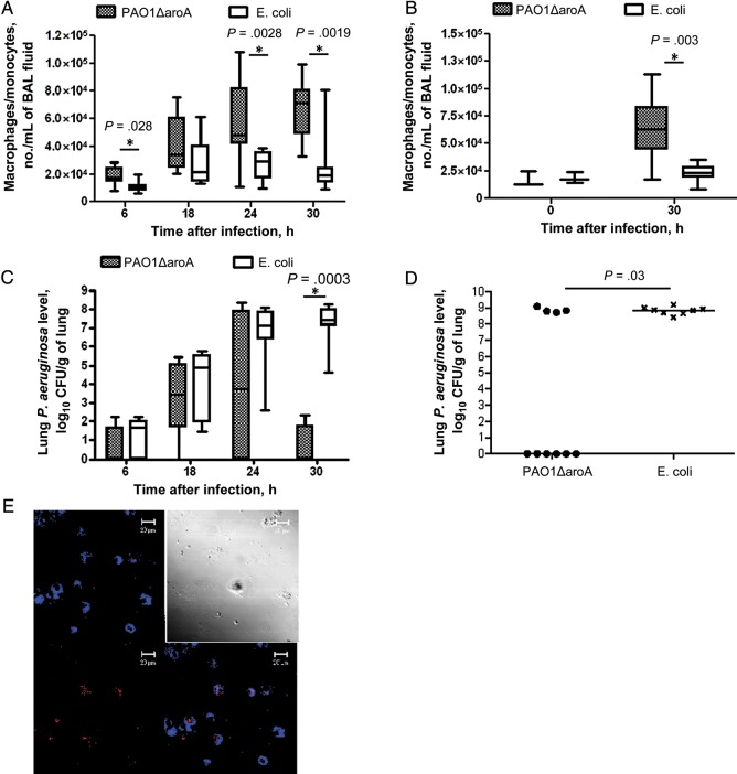 Figure 2.