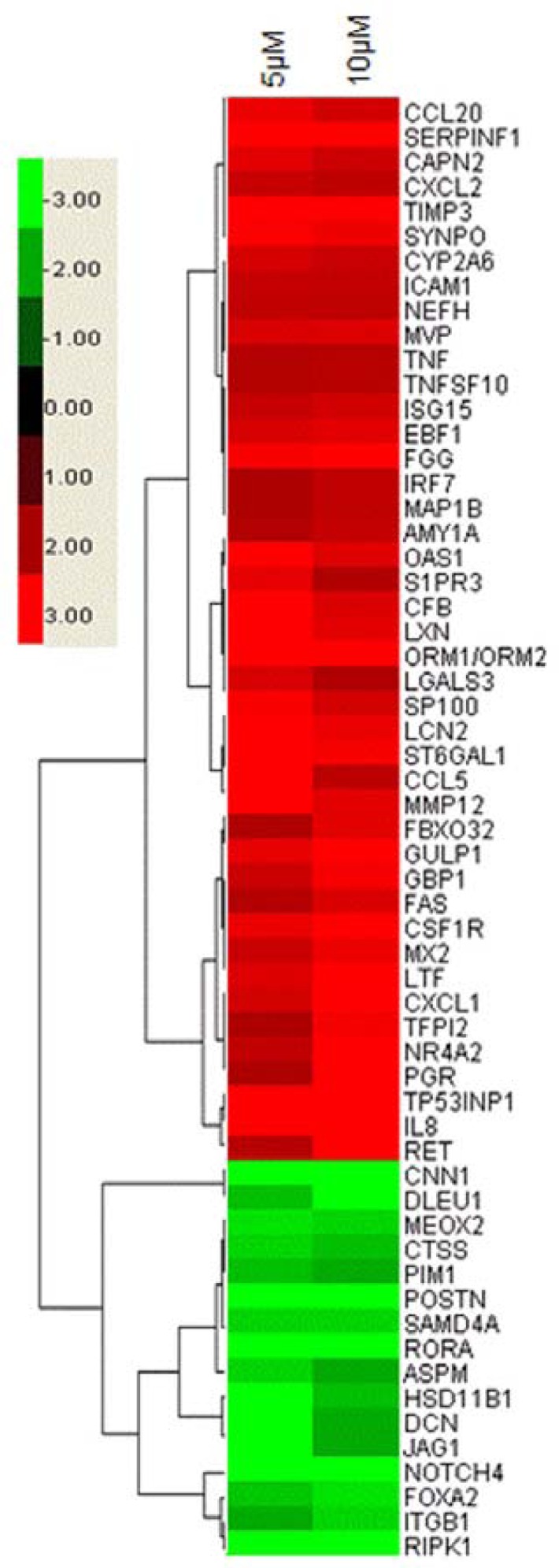 Fig. 5.