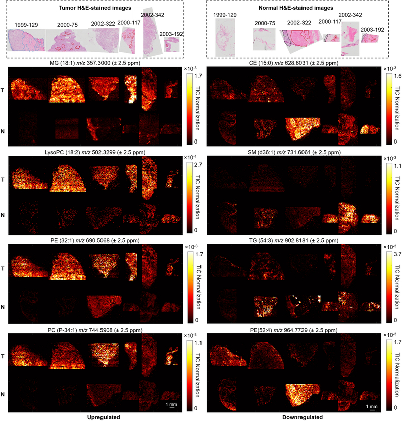 Fig. 3.