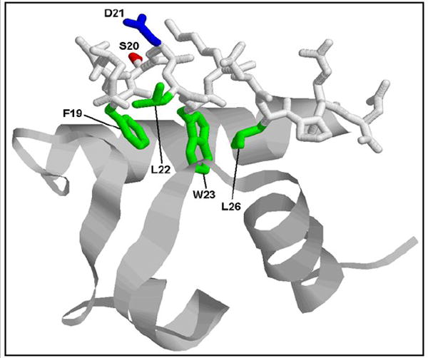 Fig. 5