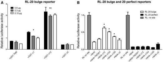 Figure 5.