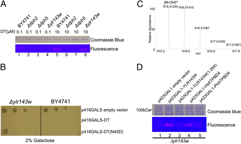 Fig. 3.