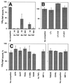 FIG. 4