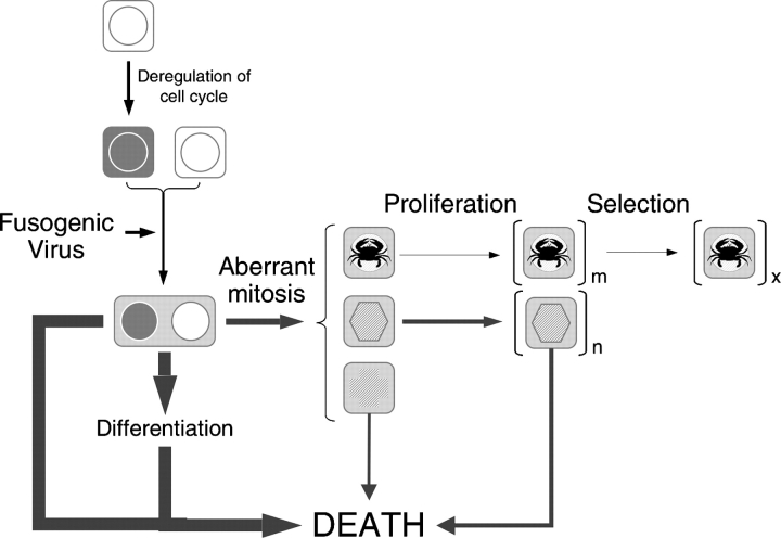 Figure 9.