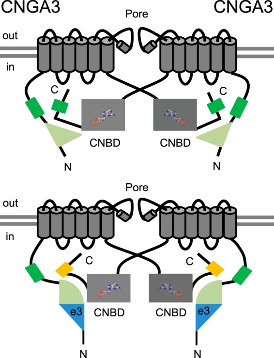 FIGURE 7.