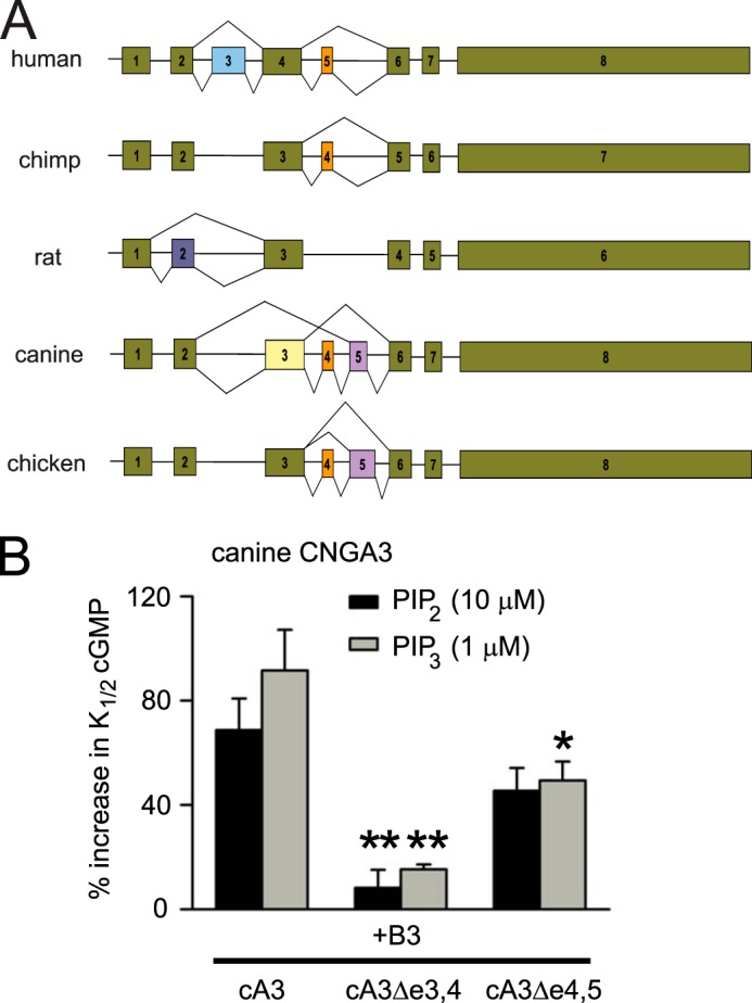 FIGURE 6.