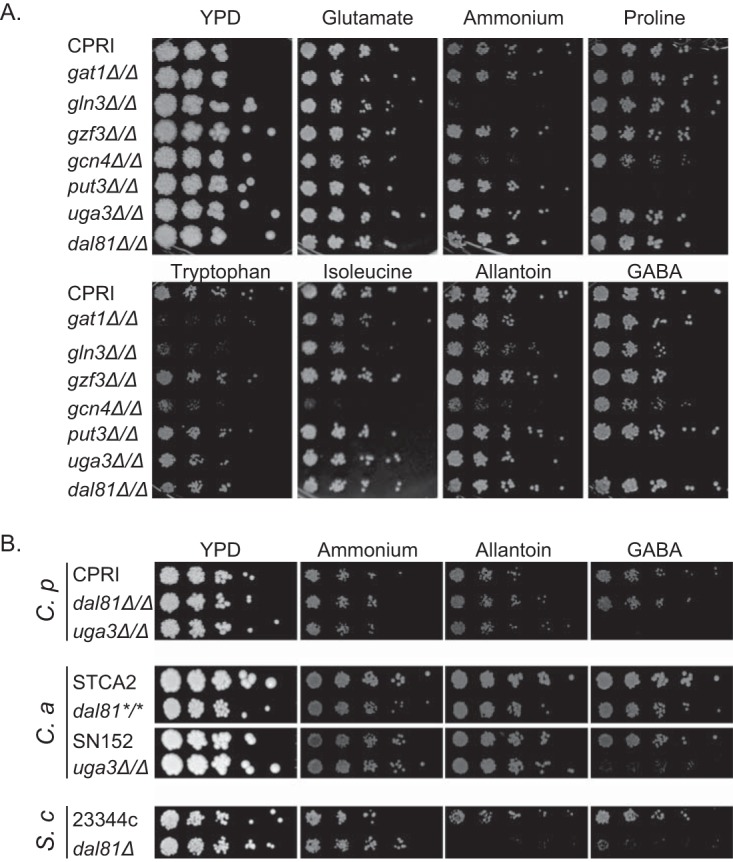 FIG 1 