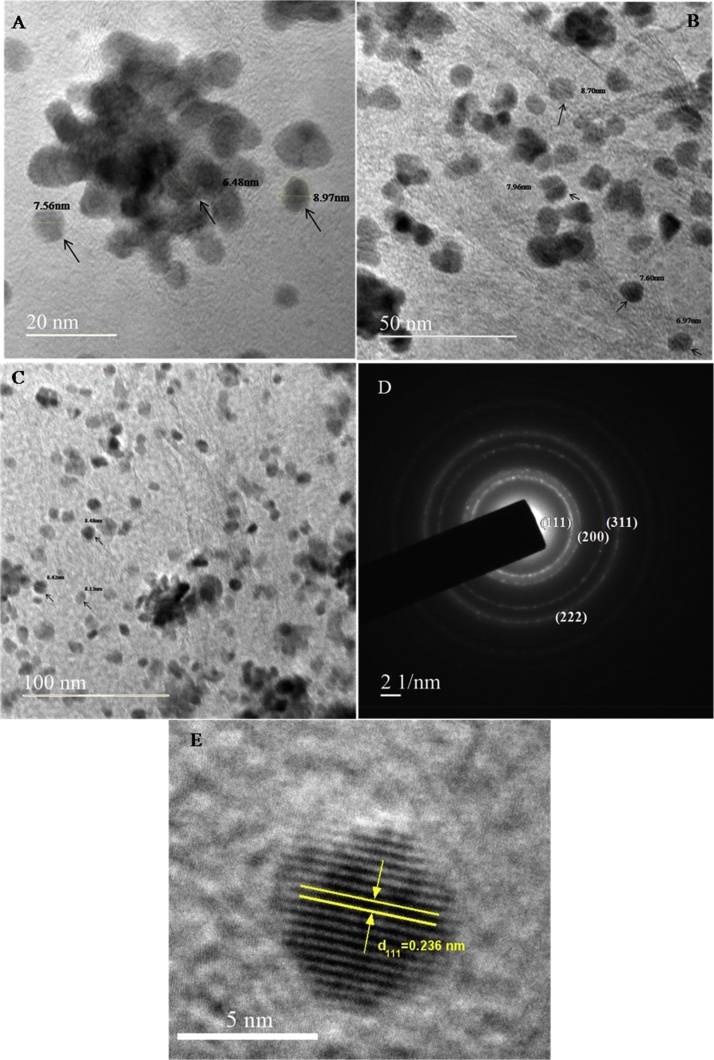 Fig. 5