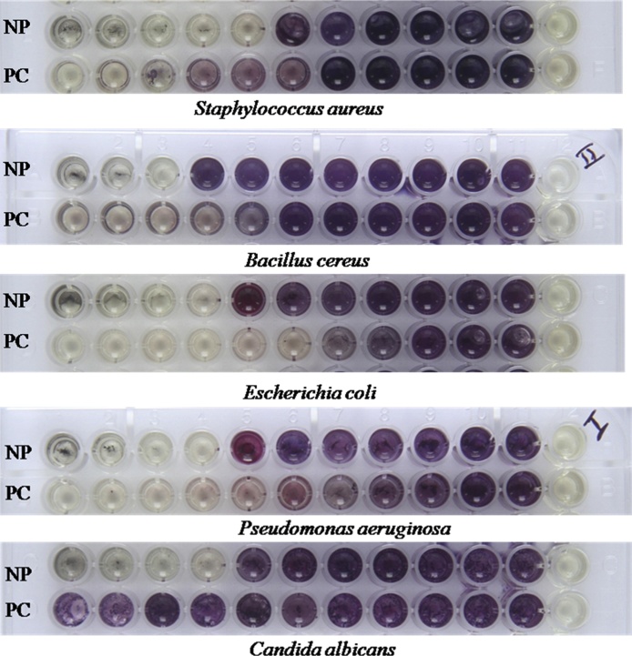 Fig. 6