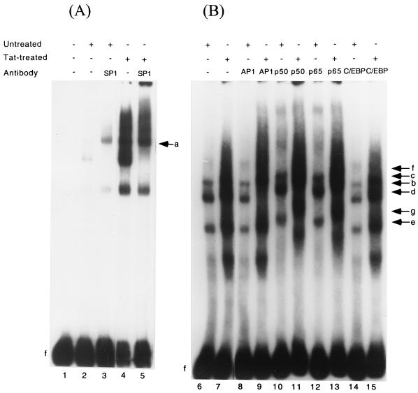 FIG. 10