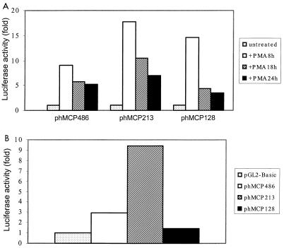 FIG. 3