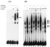 FIG. 10