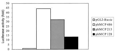 FIG. 5