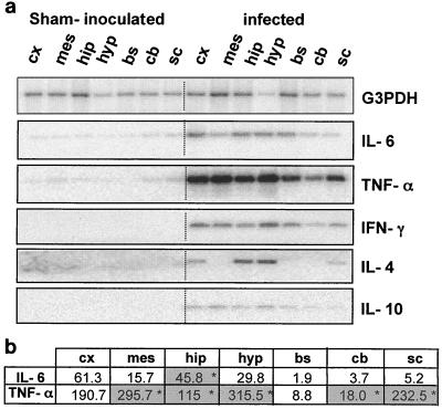 FIG. 6