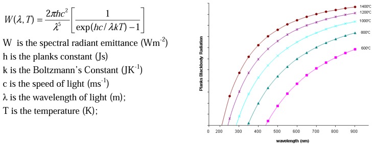 Figure 31.