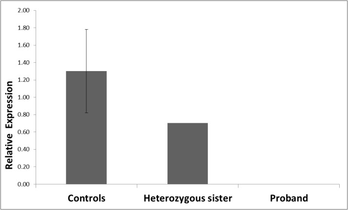 Fig 4