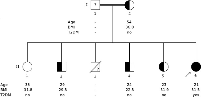 Fig 1