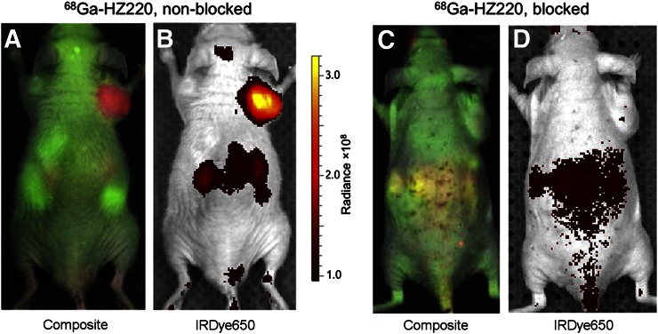 FIGURE 4.