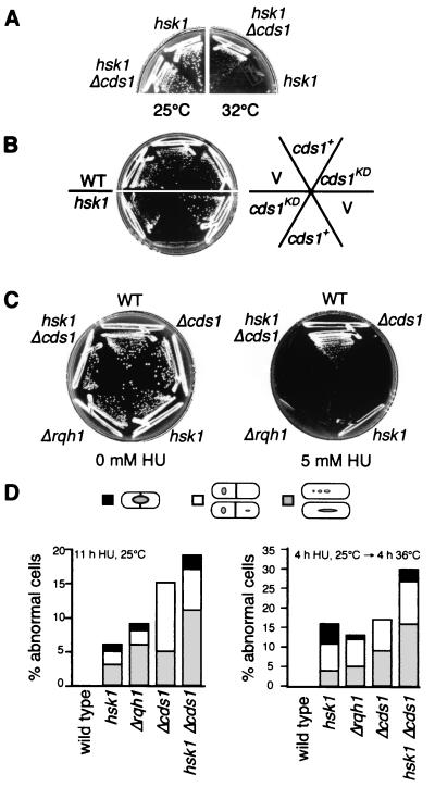 FIG. 6