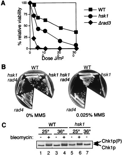 FIG. 8