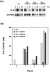 FIG. 8
