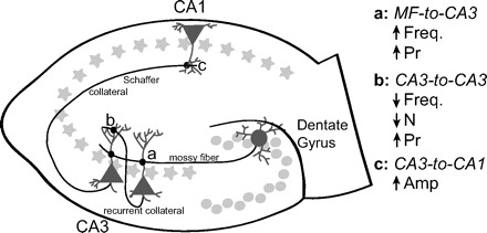 FIG. 1.