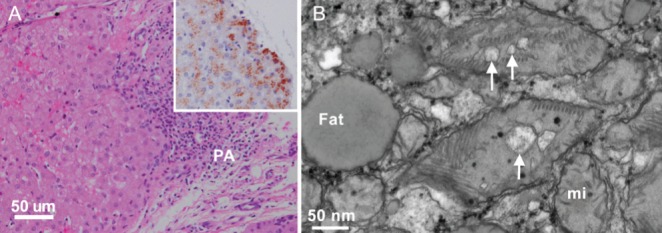 Figure 2)