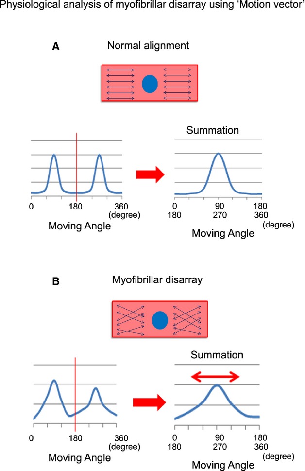 Figure 16.