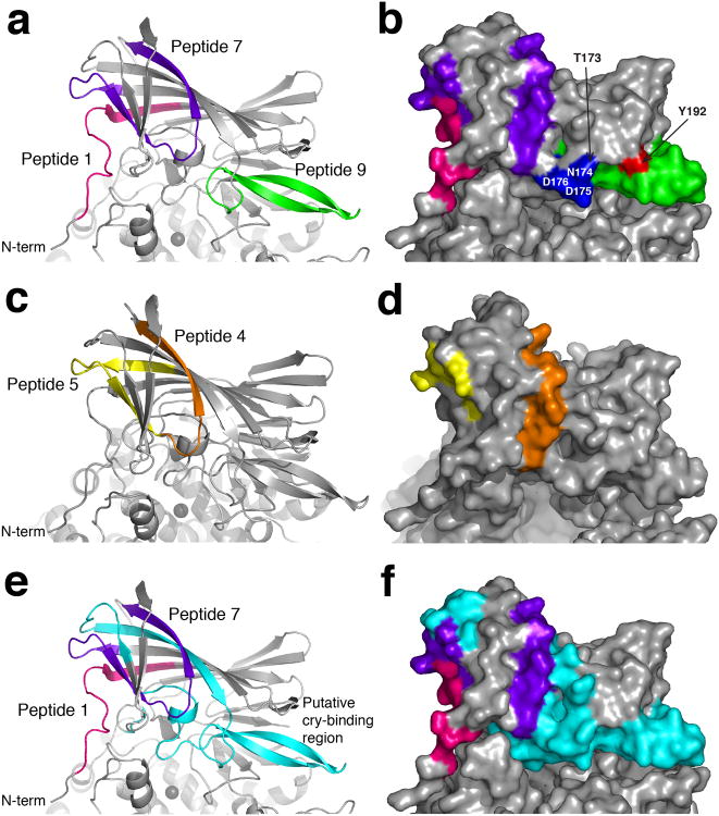 Figure 7