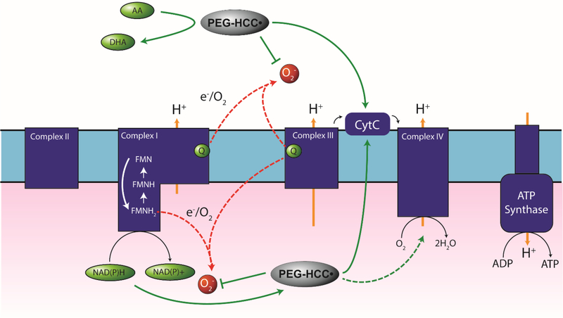 Figure 11.