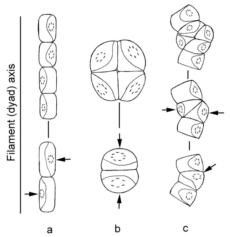 Fig. 67