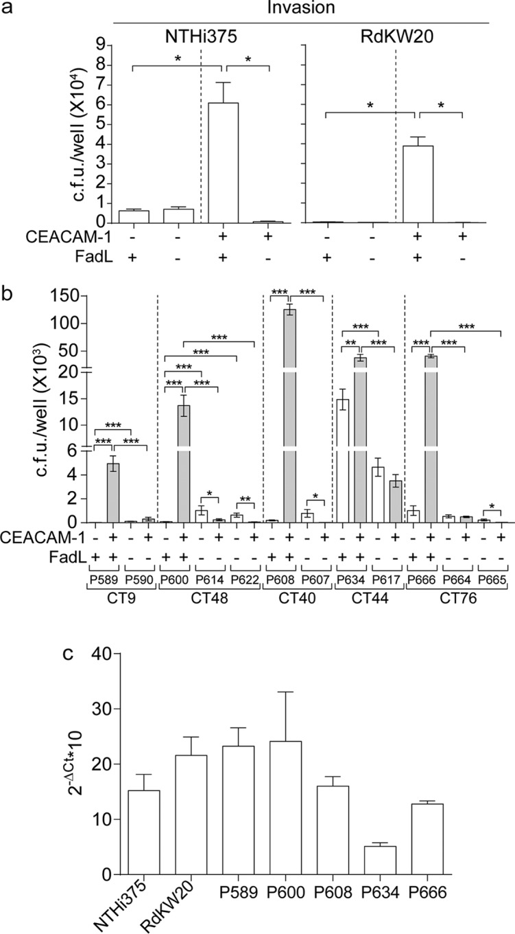 FIG 5