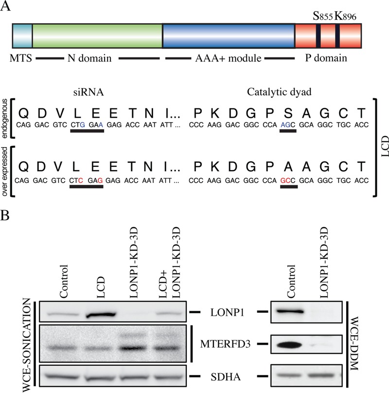 FIG 2