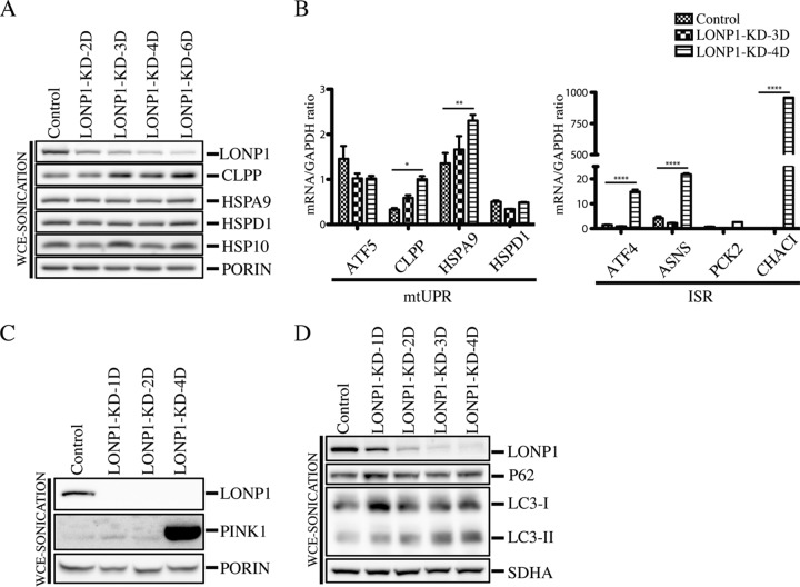 FIG 10