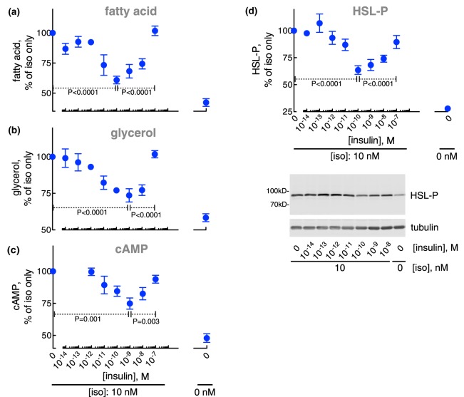 Figure 1.