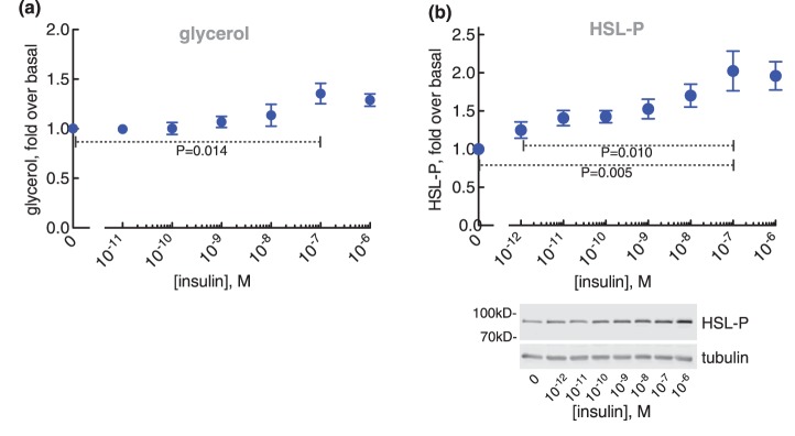 Figure 13.