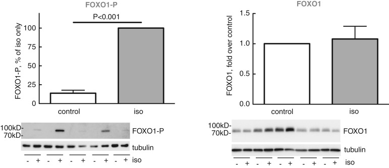 Figure 5.